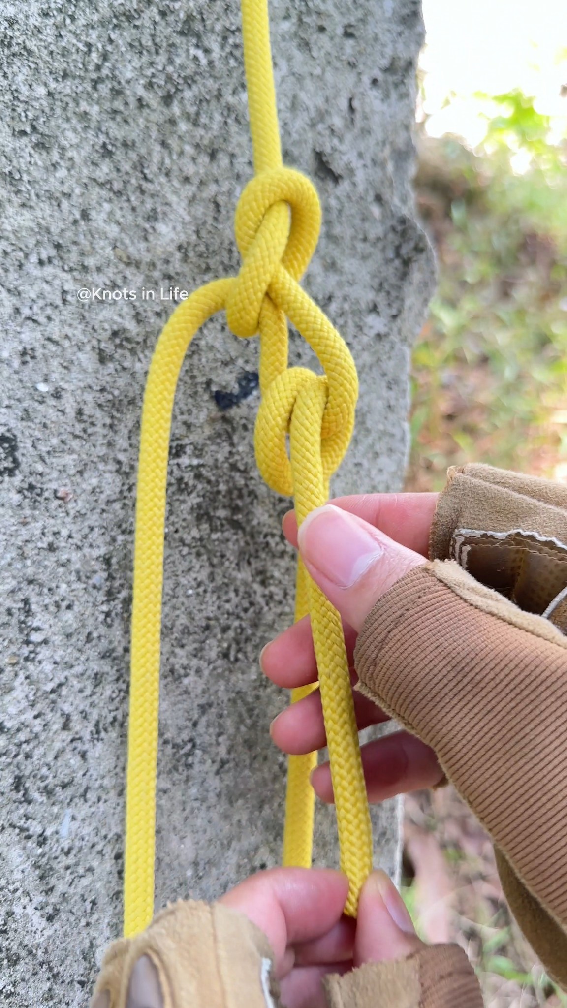 Best Camping Knot – Auto-Locking Trucker’s Hitch! | Knots in Life ...