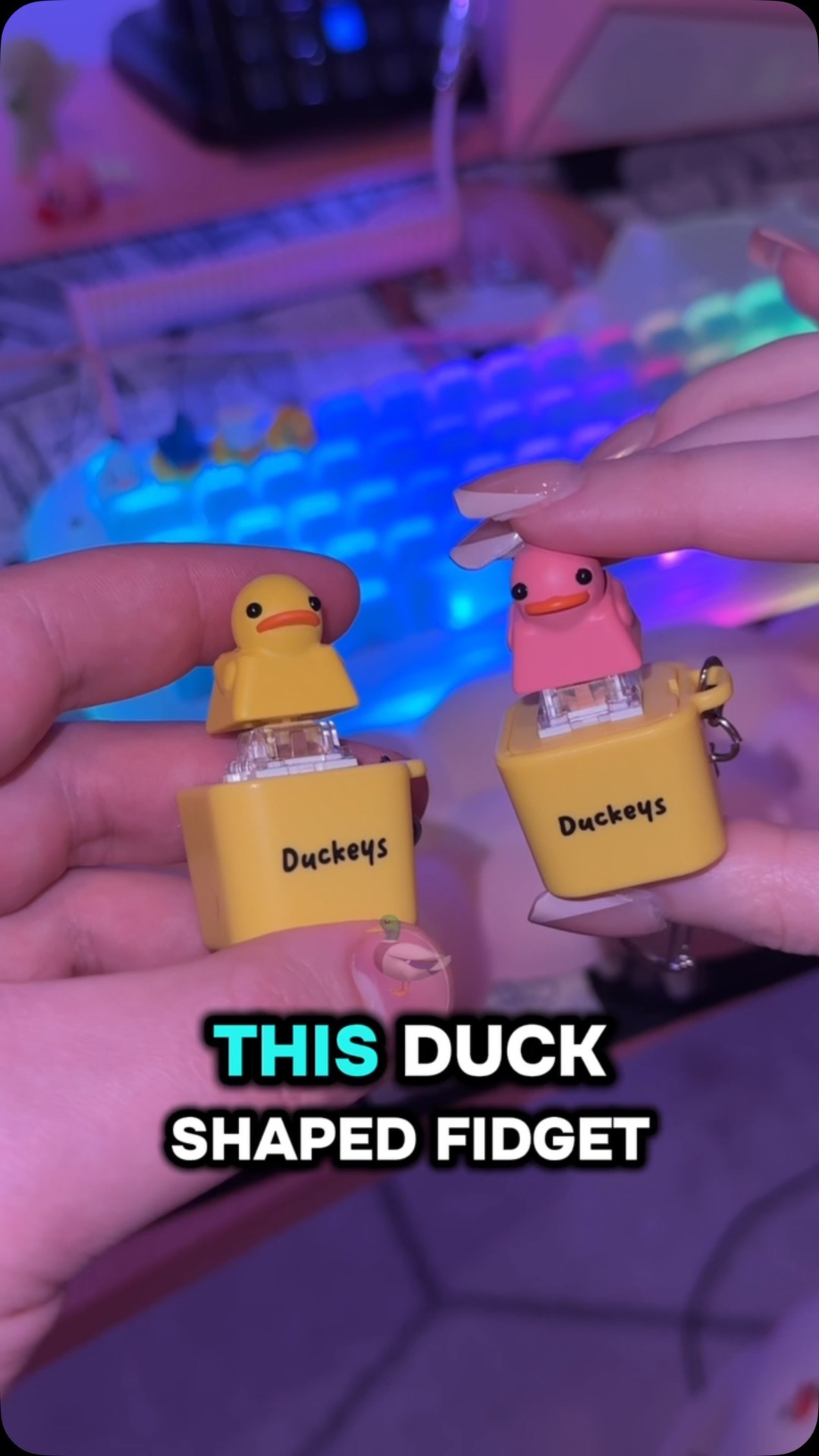 Introducing the Quackey quacking fidget toy! It is not only a fidget ...