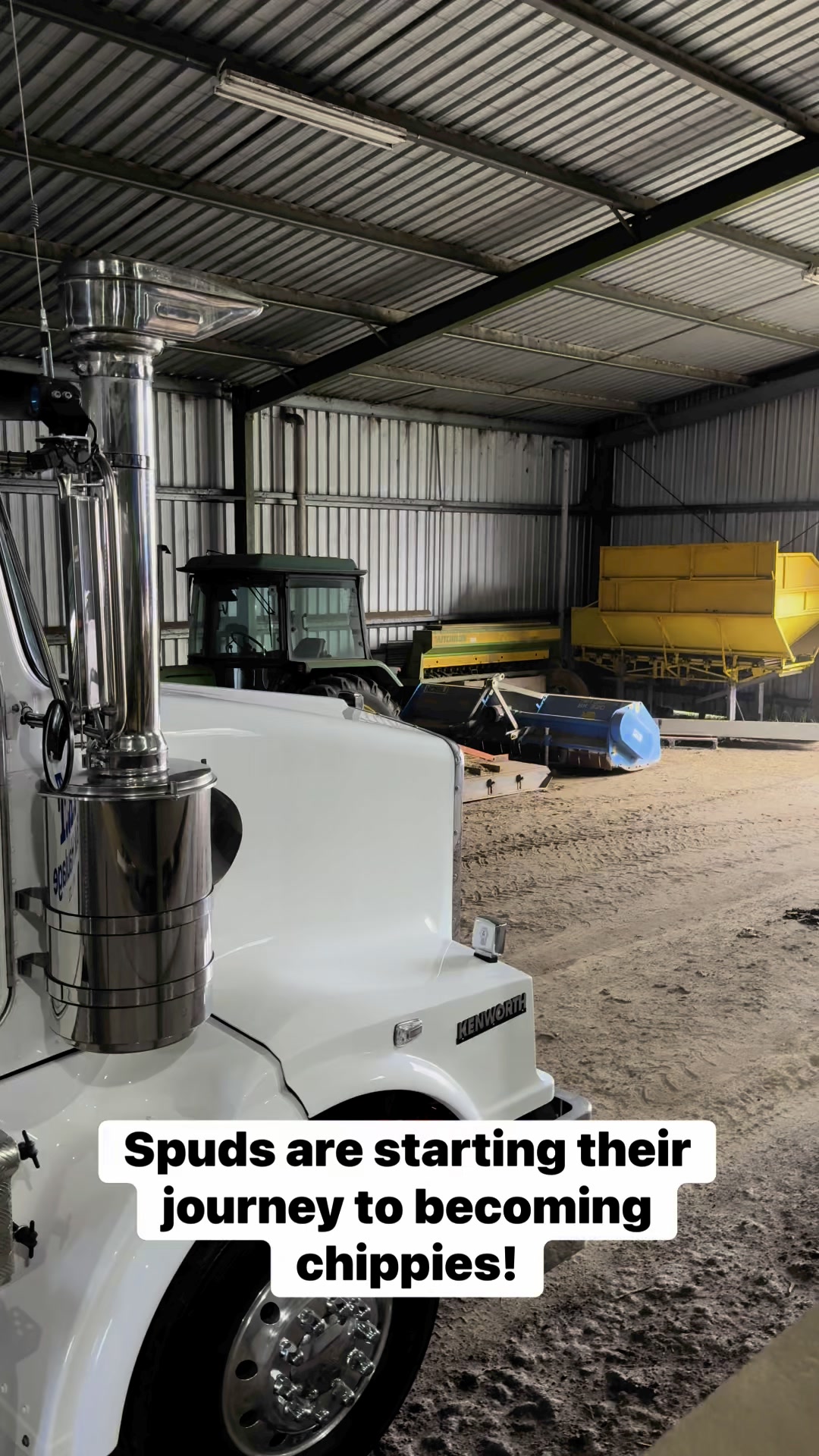 When we chop and dig mustard into our soil, it acts as a biofumigant. A ...