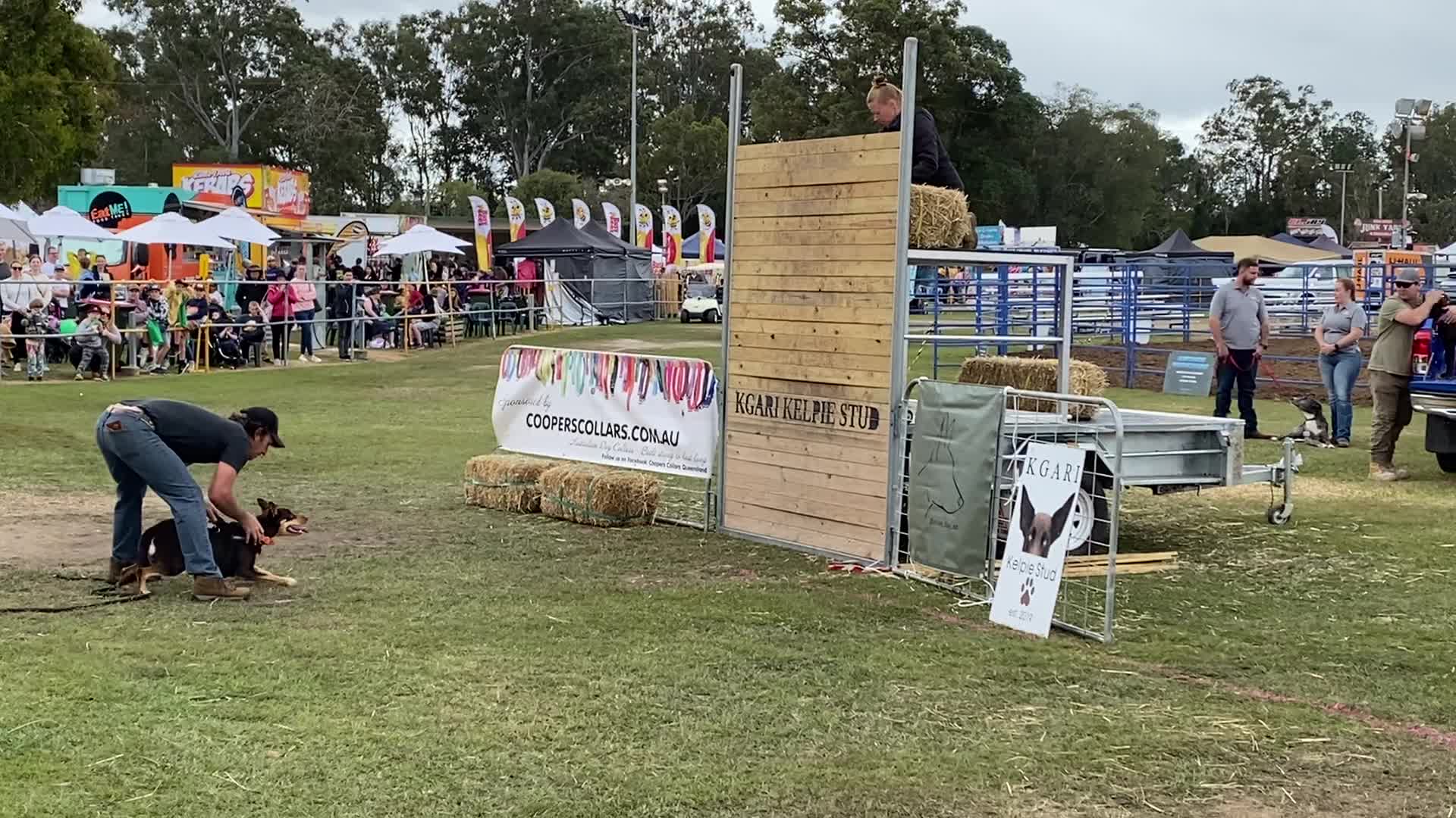 Pine Rivers Show - Home