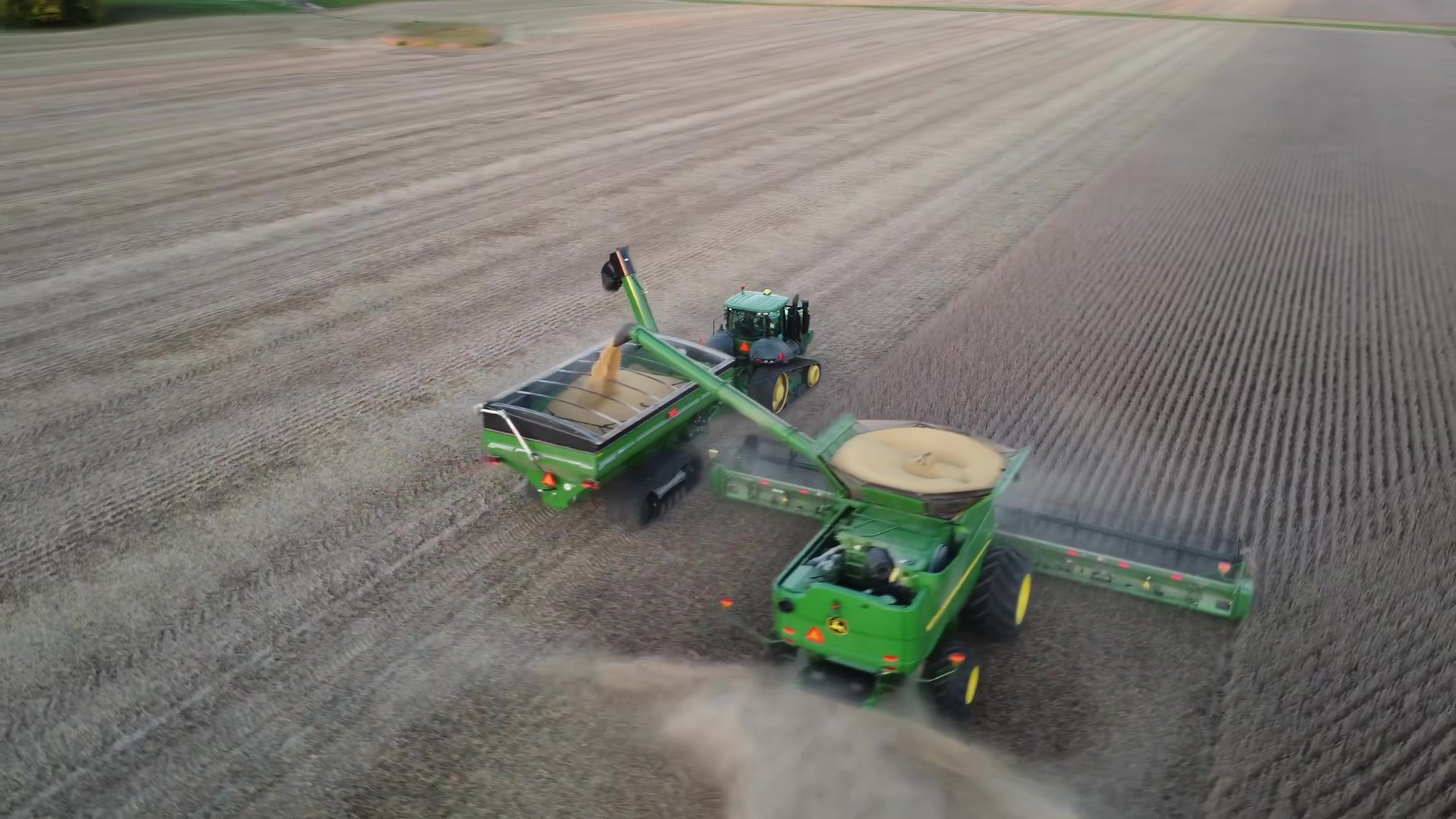 B&M Farms, Inc