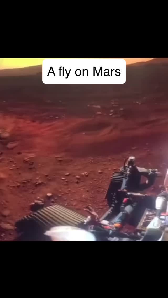 #mars #fly #nasa #fake #insect #rover | Hidd3ndocs | Facebook