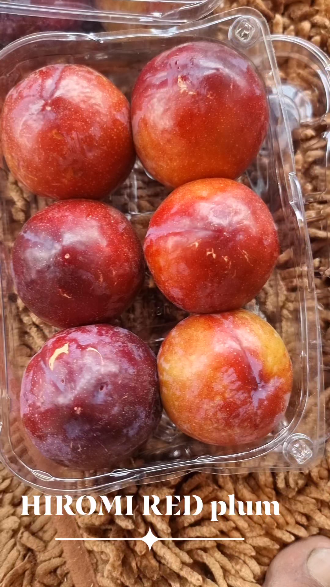 HIROMI RED plum | The Orchard Bloom