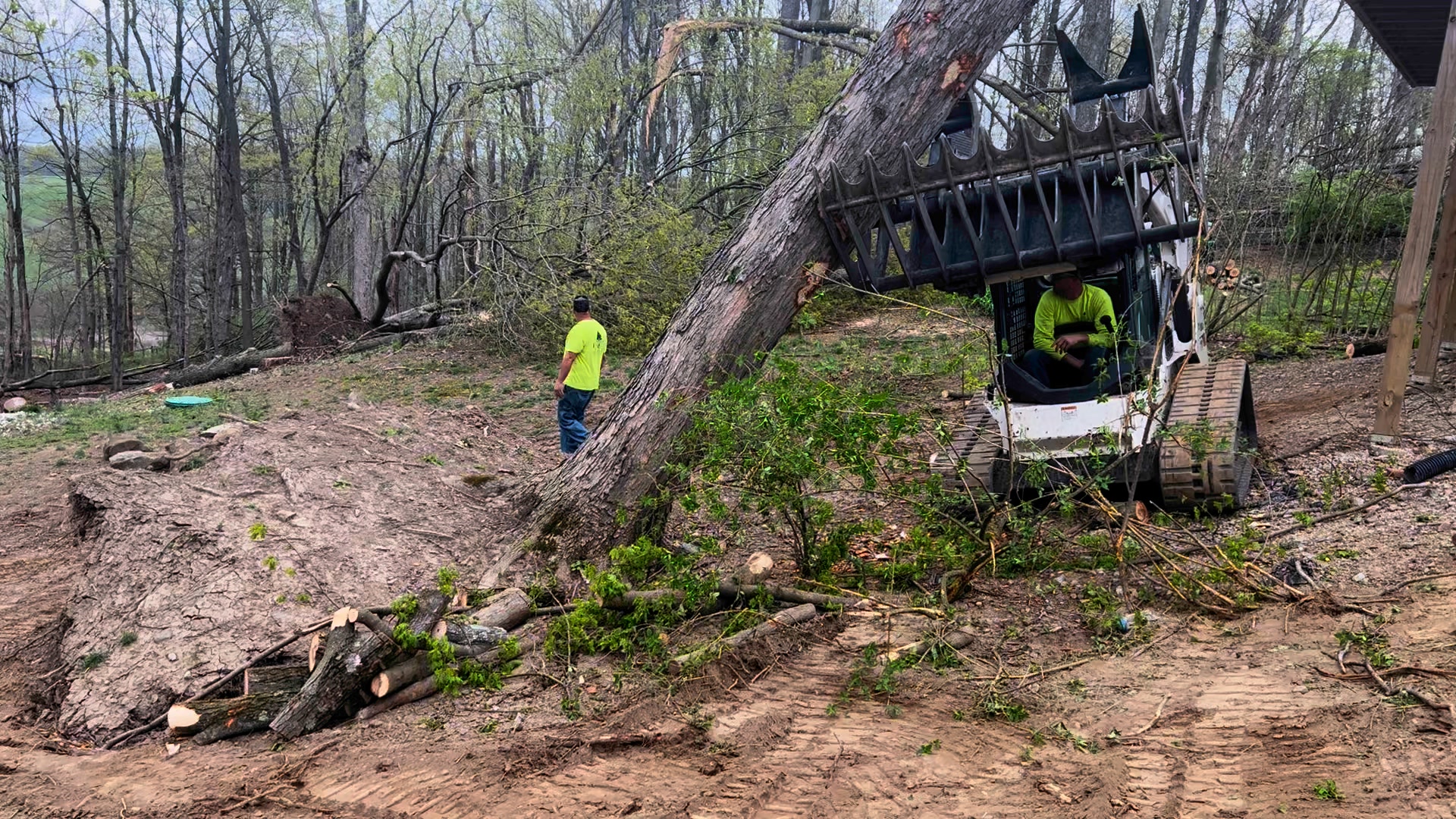 Frey Tree Specialists | Smithfield PA
