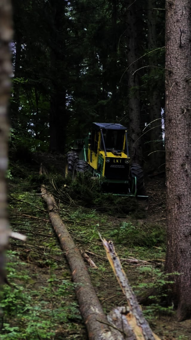 #forest #warriors #nature #fyp #instagram #lumberjack #logger #logging ...