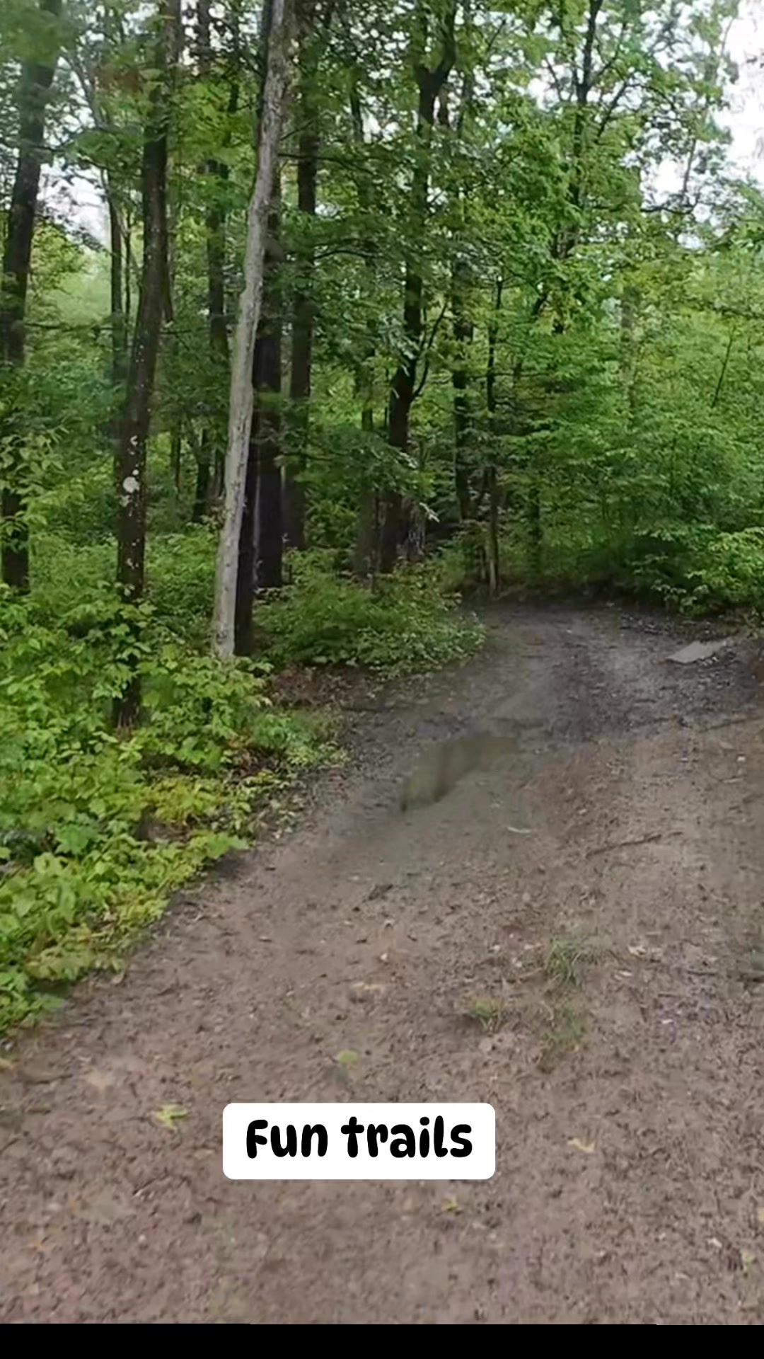 Fun trails at AOAA #TheBeatenTrail #TheBeatenTrailLLC | The Beaten ...