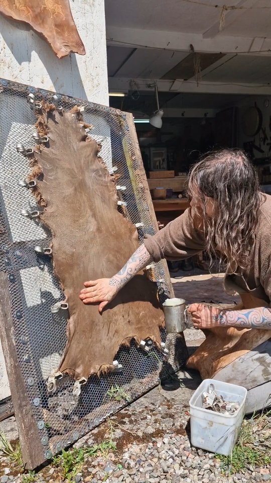 Hides and more hides! Back from Sweden a mere day and it's back to the ...