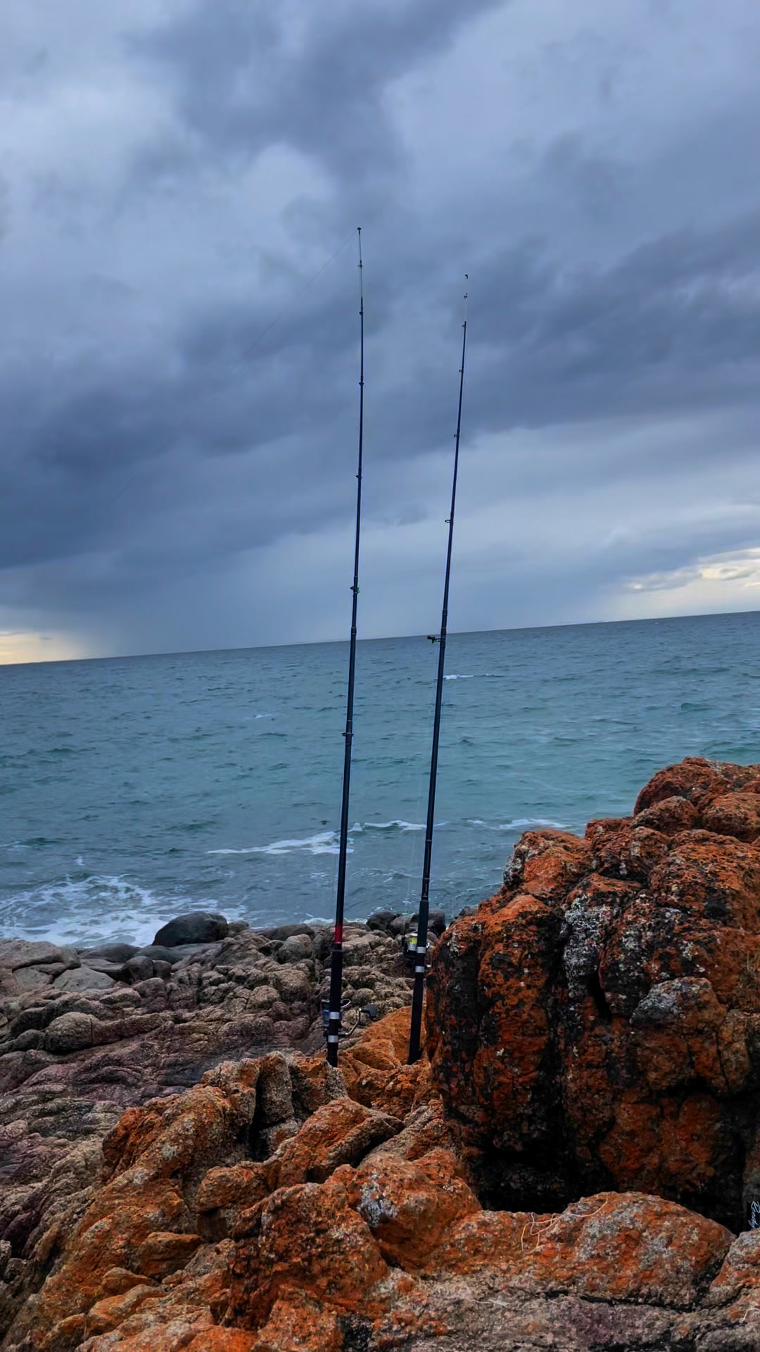 Ready for action snapper #highlights #fishing #1m | Pinoy Australia ...