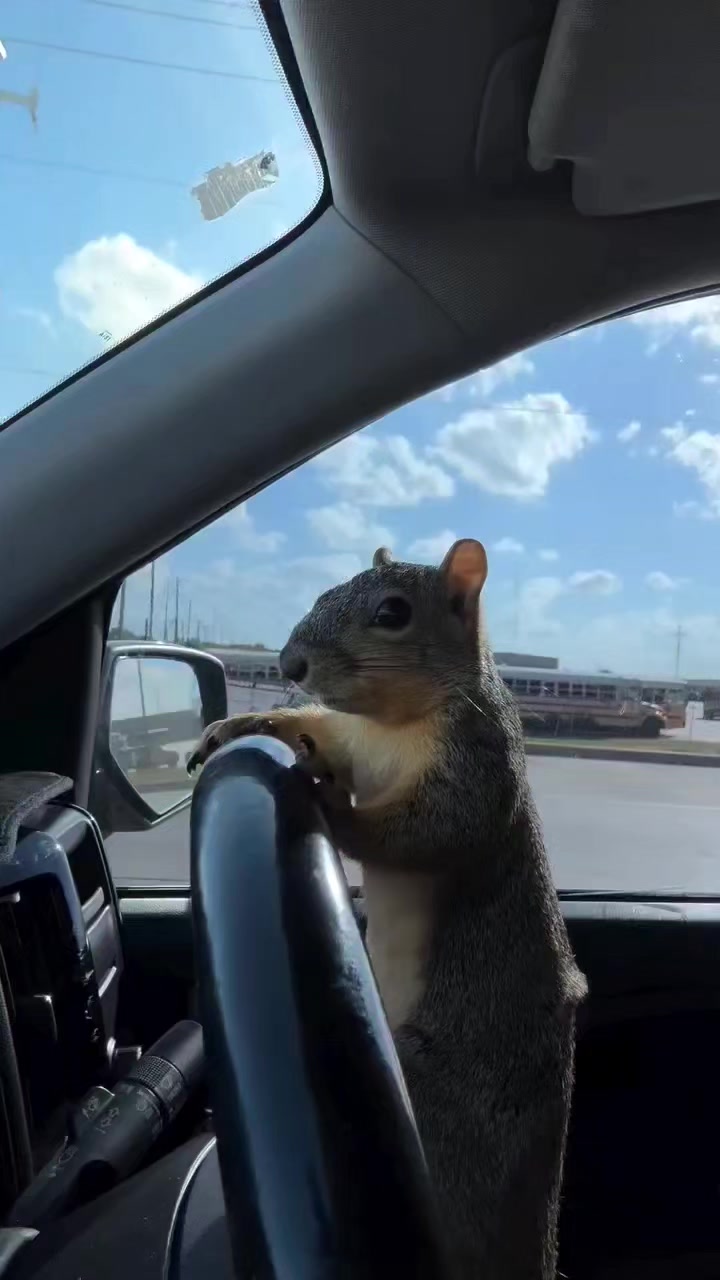 She may be our Princess but she is also a Country girl and she drives ...