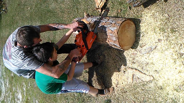 Pro-Cuts Tree,trimming and Removal - Home
