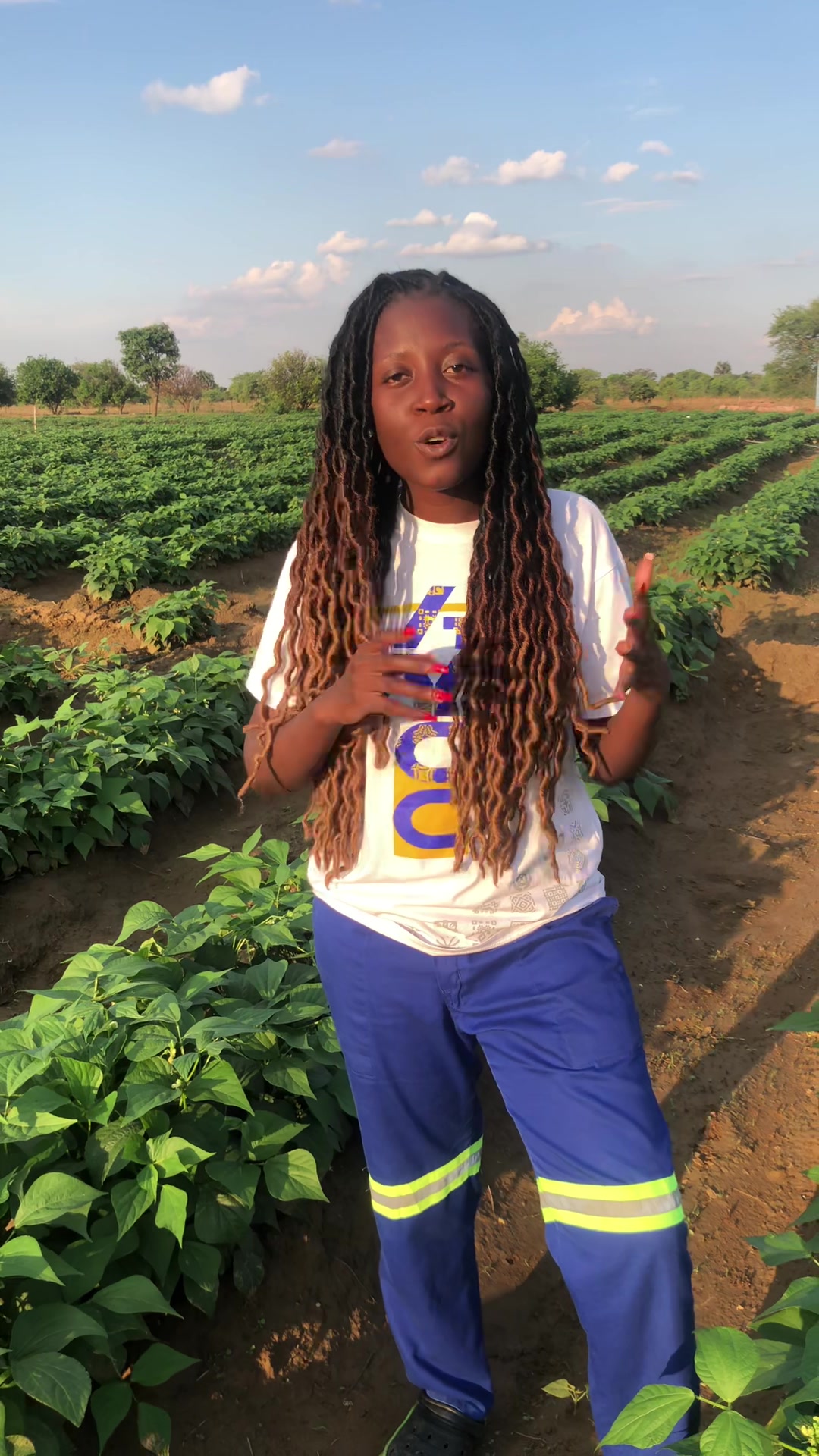 Staying relevent in your agribusiness ! | By The Young Farmer Maanda