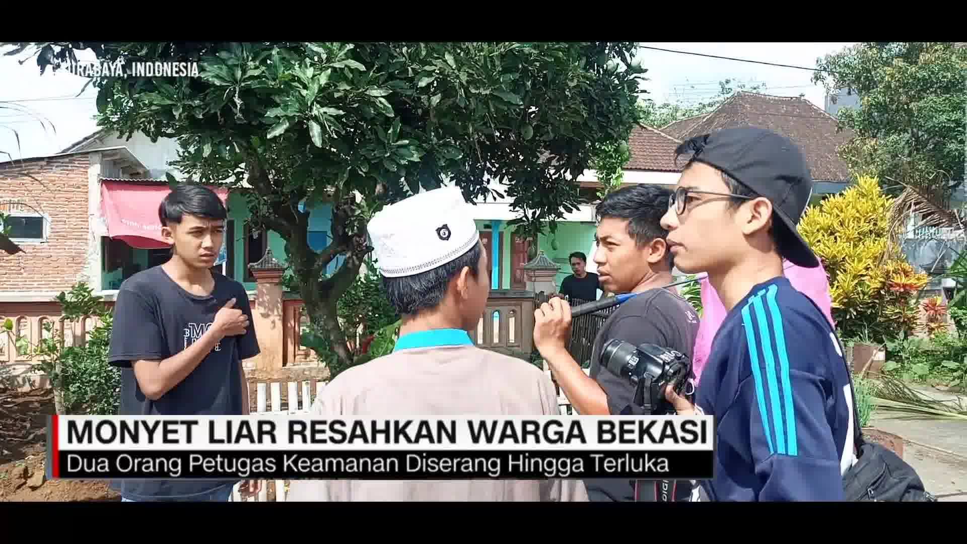 Wergul tv