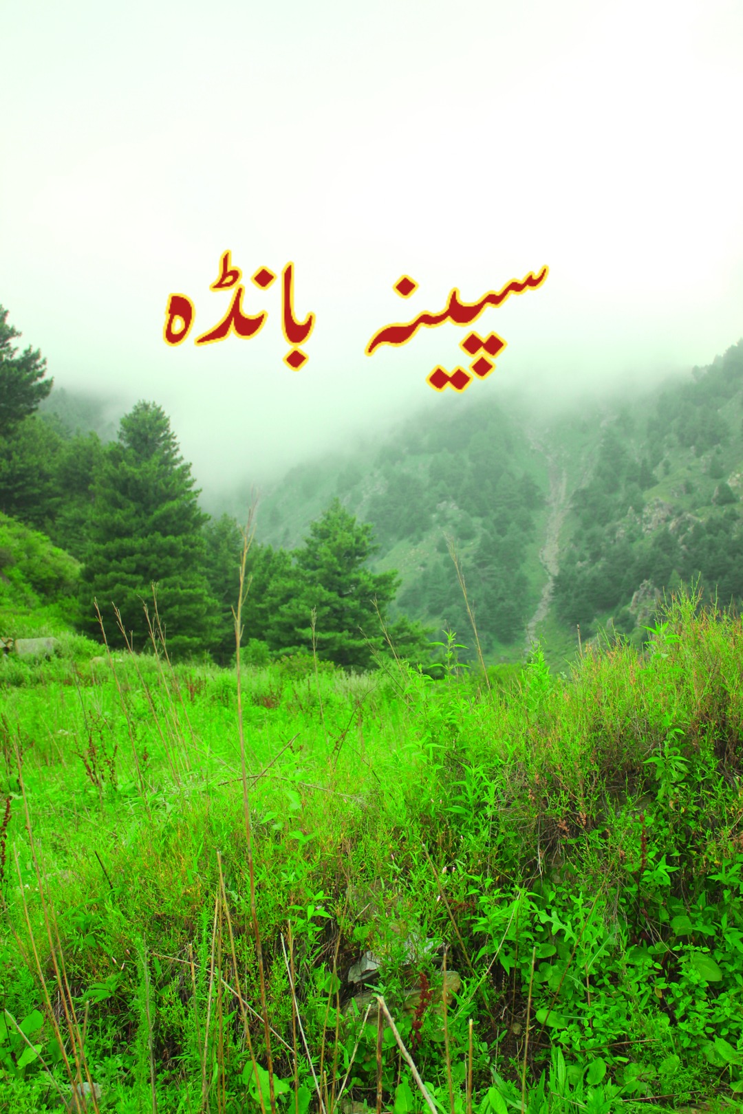 قدرتی خُسن سے مالامال پاس سپینہ بانڈہ ماموند وادی ضلع باجوڑ ۔۔۔ | قدرتی ...