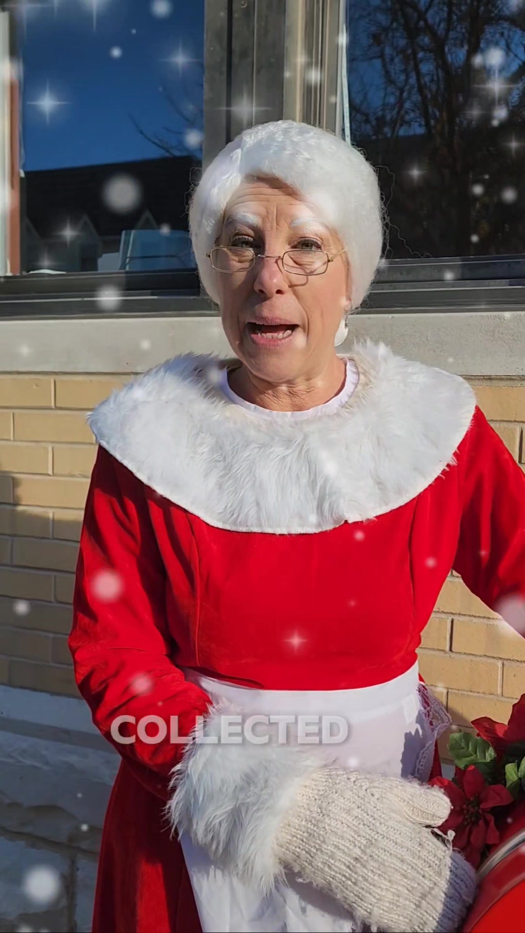 The German Christmas Market of Oconomowoc