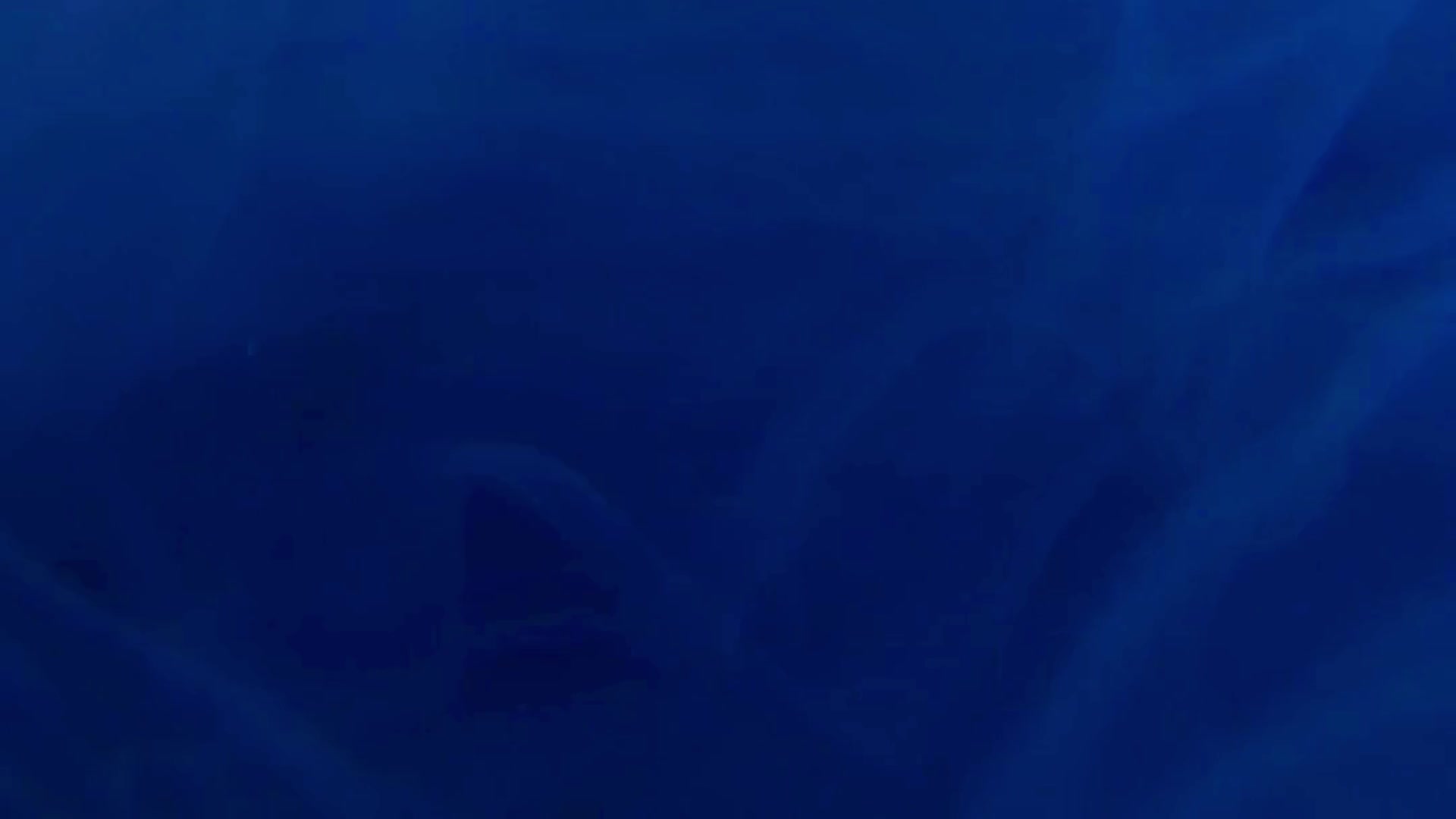 Blue Digi Tech