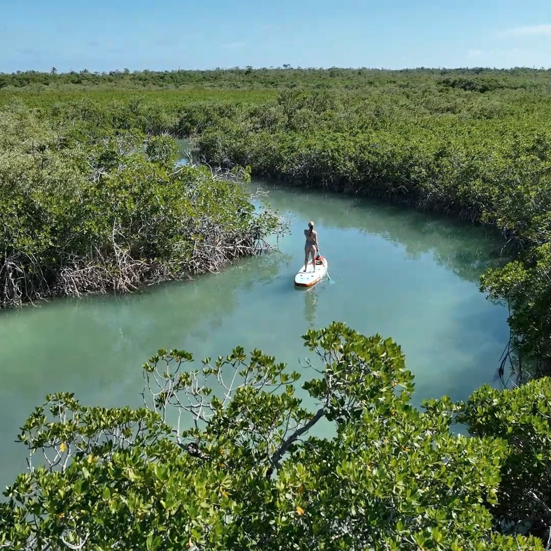 This FREE paddleboarding spot in the Florida Keys is pure paradise. Who ...
