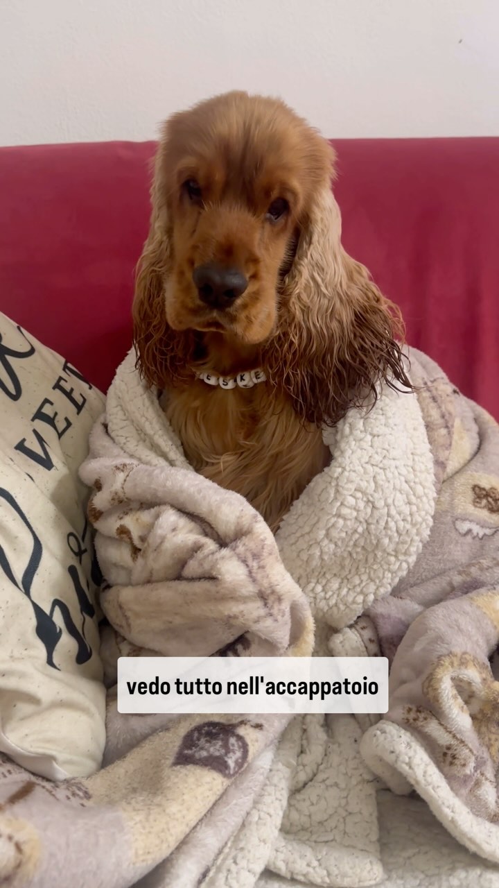 “Ragazzi, oggi è stata una giornata... di puro caos! 😅🛁 Mamma ha deciso ...