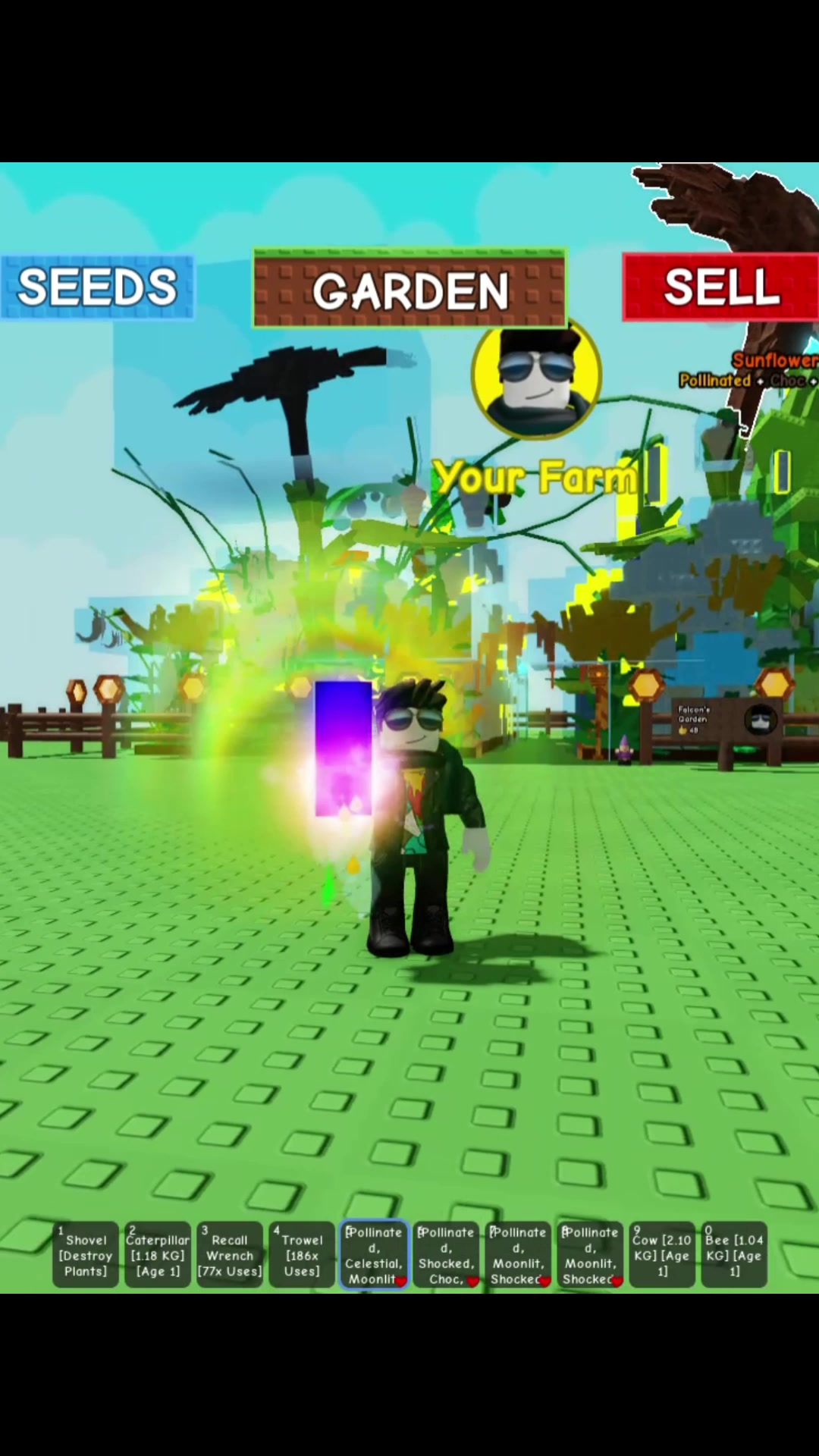 Small but Terrible Candy Blossom! #growagarden #roblox #falcon2fast