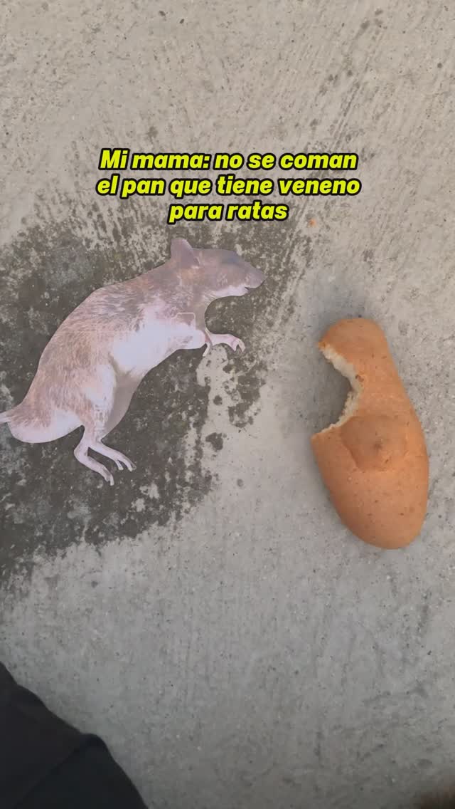 Yo y la rata a las 3 de la mañana 😭#meme #cod | JonaJb | Facebook
