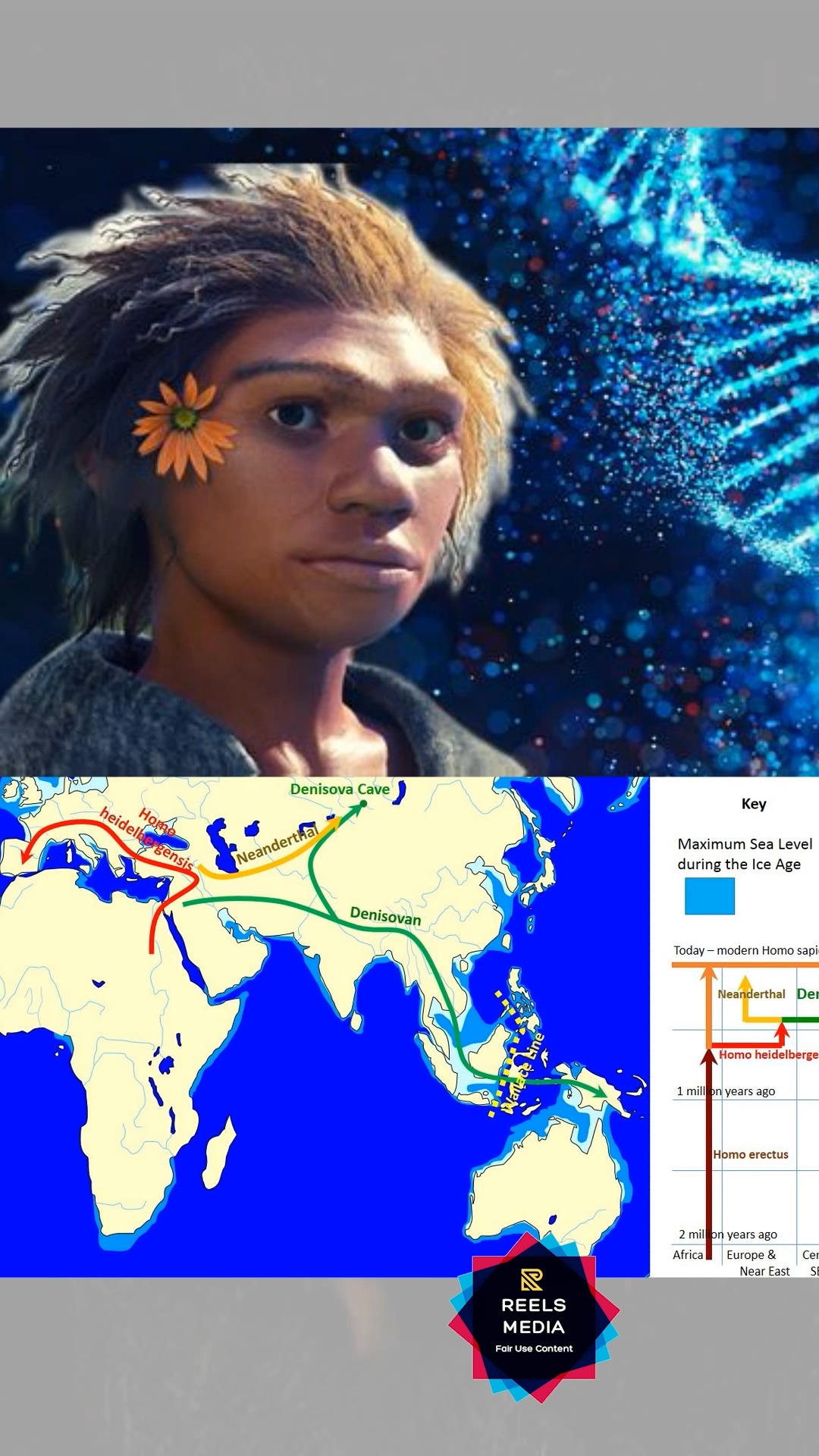 A whole new human species has been discovered after 1000 years of ...
