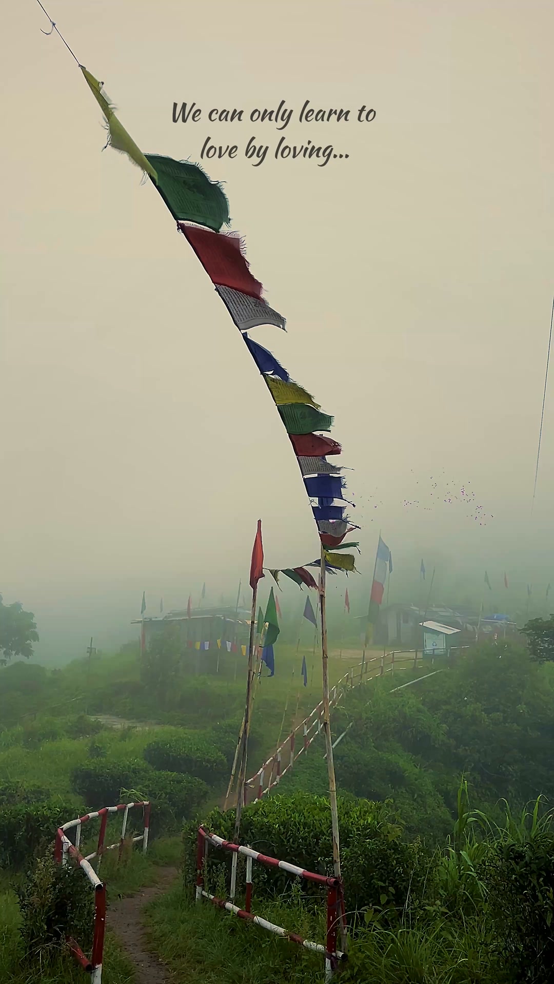 মেঘ জমে আছে মন কোণে …. #hills #Peshok #AyanSarkar #mountain #nature # ...