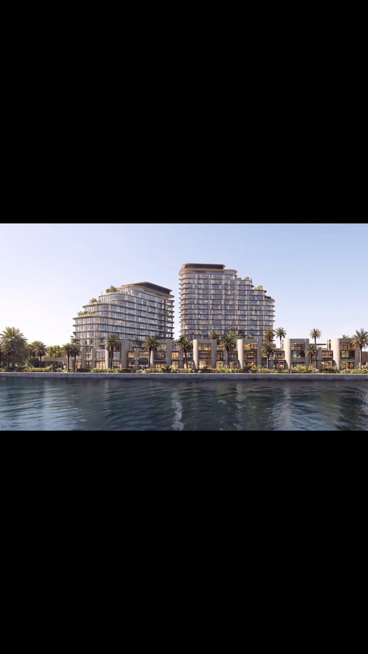 MIrasol II | Tahseen Tahseen Aboul Foutouh