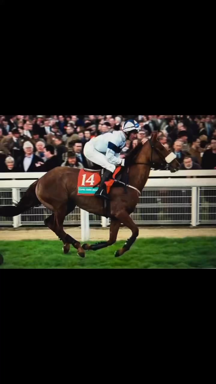 Energumene 💙 The two-time Champion Chaser gets a cuddle from