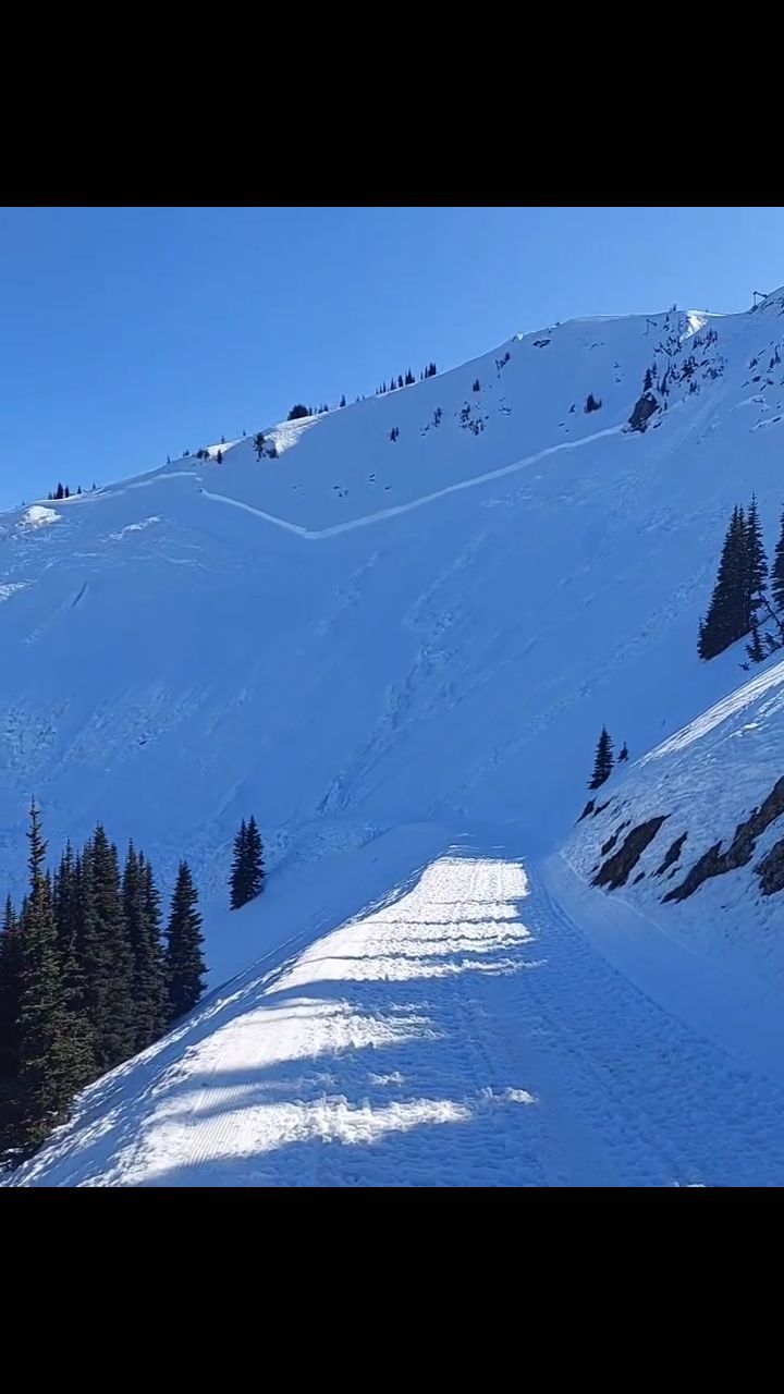 😳Large Avalanche at @crystalmountain, WA Snaps Trees like Twigs