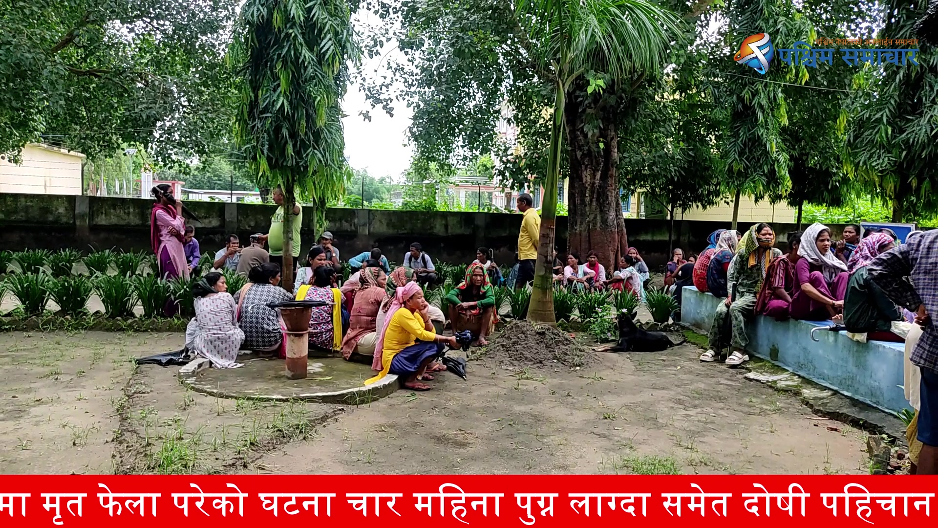 बेलडाँडी गाउँपालिका–३ कमरीका भैसीपालक किसान हरकिशन राना जलेको अवस्थामा ...