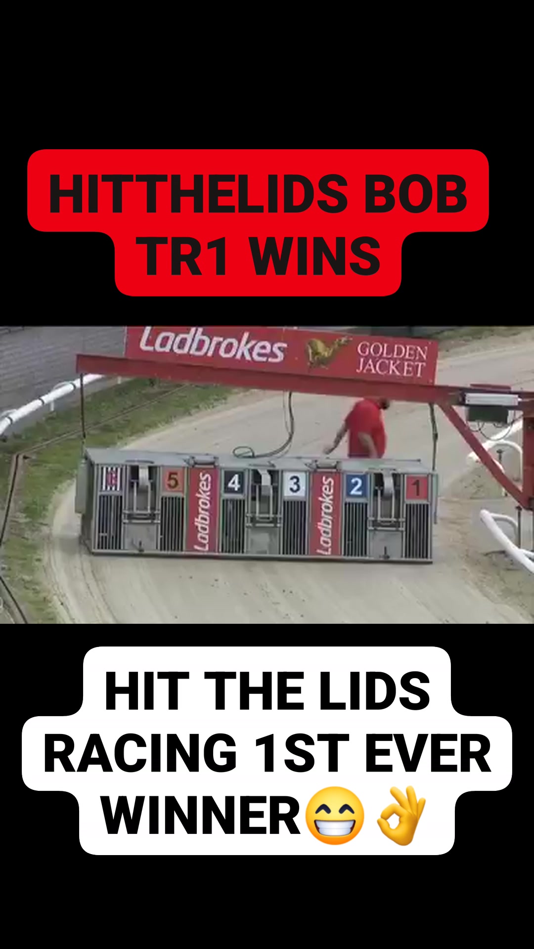 #hitthelids racing Bob wins over 380m Crayford and the syndicates 1st ...