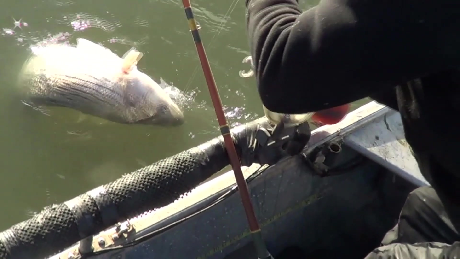 dead state fishing pole Eye Custom Series Rods They were designed with the latest technology and insight from leading walleye tournament anglers from around the Midwest Ketch Dead Stick Spoon -