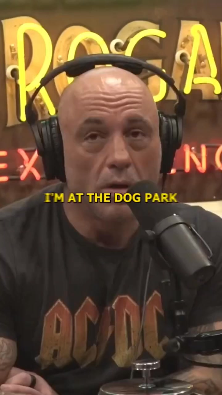You Can Have a Wolf As a Pet - Joe Rogan · #jre #wolf #joerogan # ...