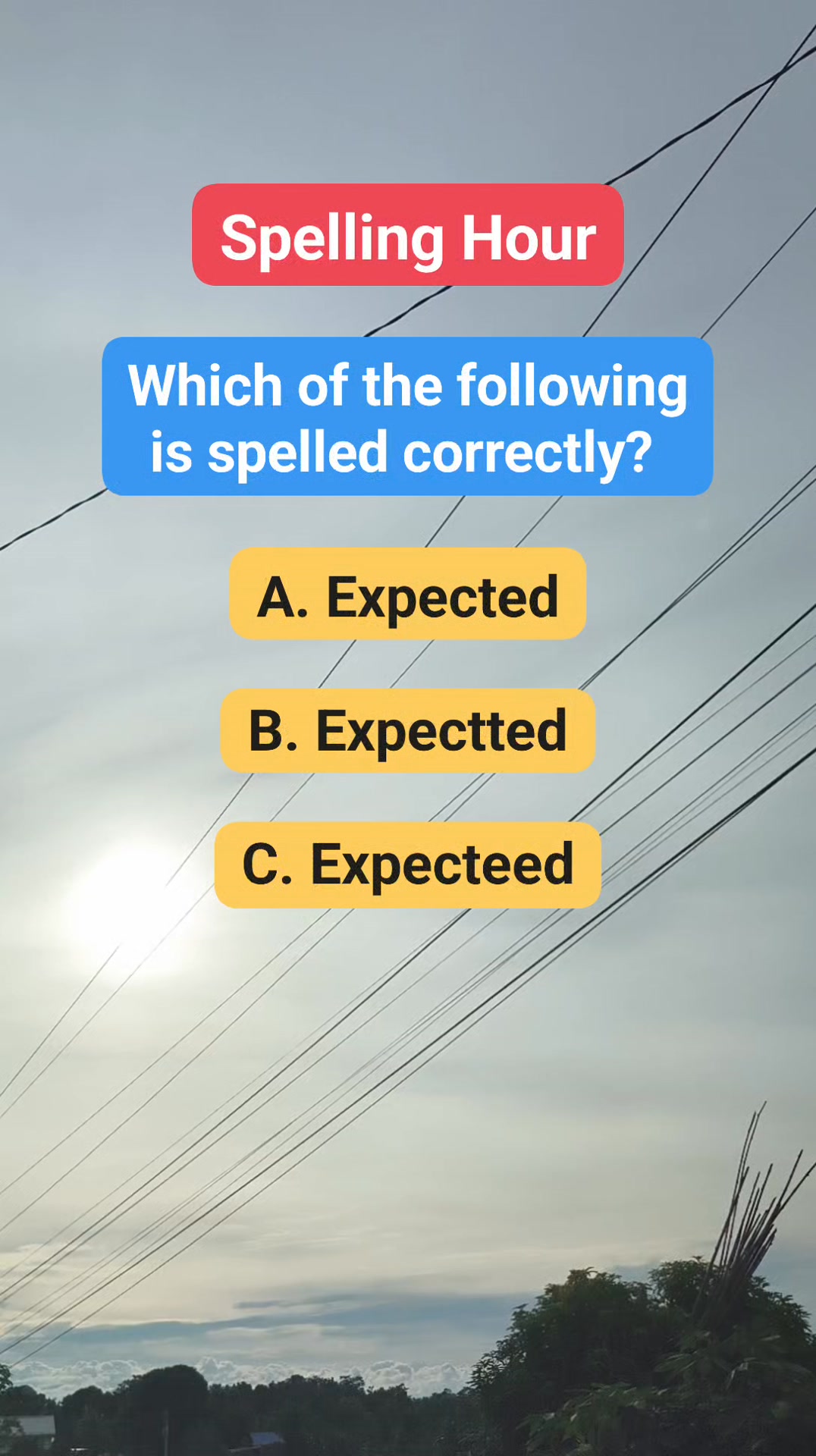 Spelling🐝 #spellcasting #spelling #spellingbeechallenge #spells # ...