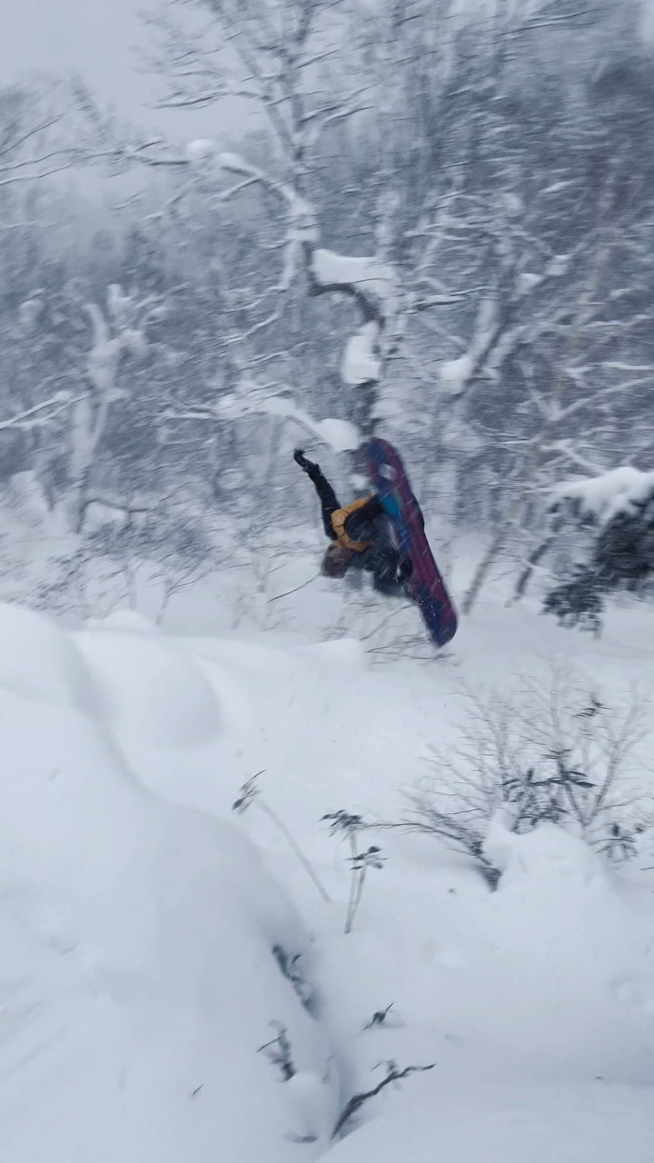 burton chopper 80cm snowboard 107351 Board Junior Boys Kids 80 2016-17 Model Snowboard Flat Zero Camber Sporting Goods free convex base and Color:MATCRANB ABUS PowerDome MIPS Helmet baby-products