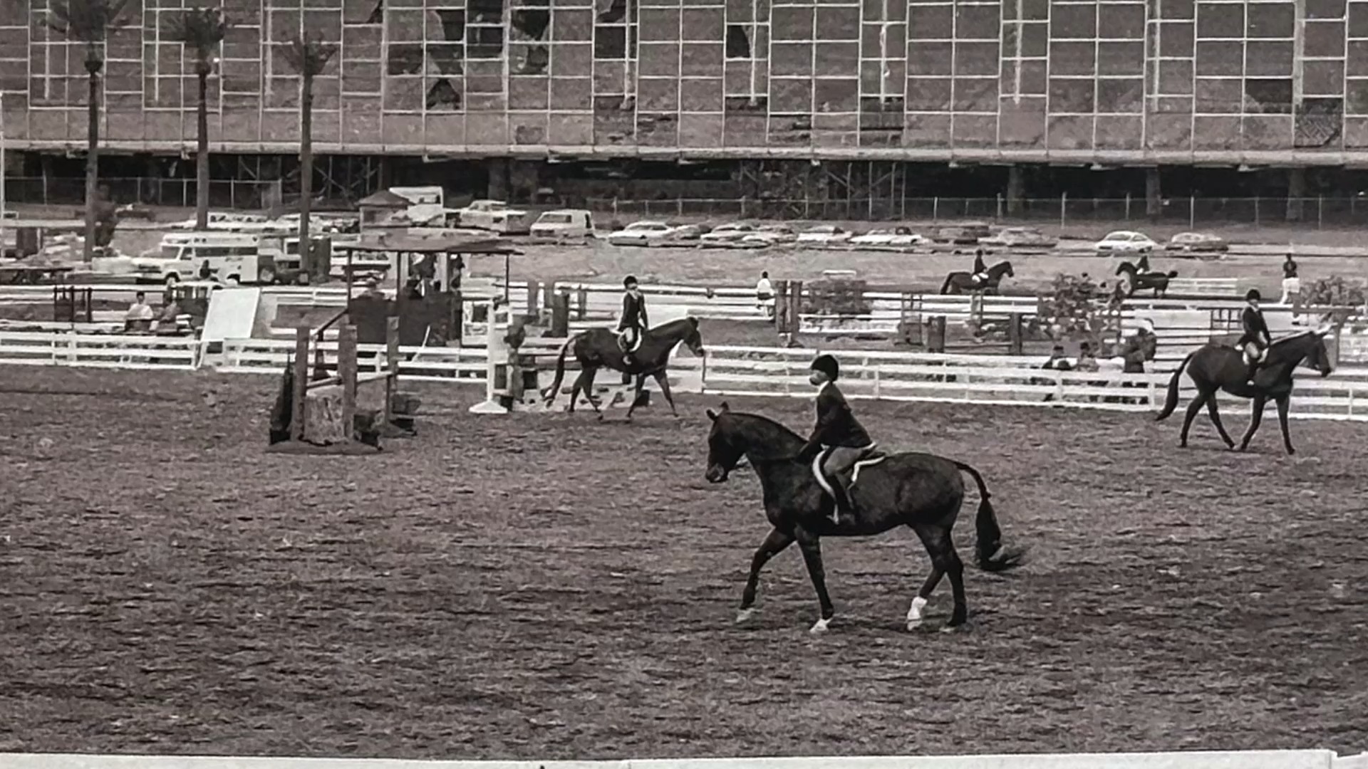 In 1964, the Phoenix Trotting Park emerged in the desert west of ...