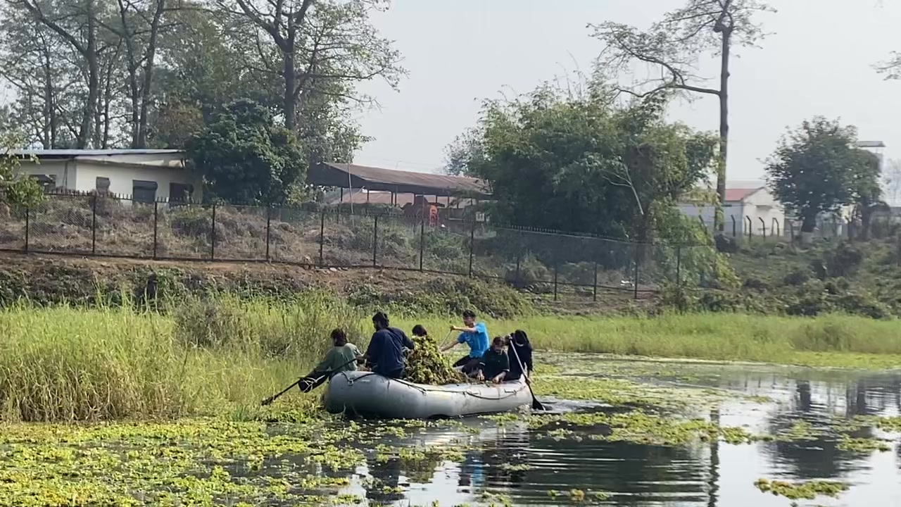 Fisheries Program,AFU,Rampur Chitwan | Nepal Aquaculture & Fisheries ...
