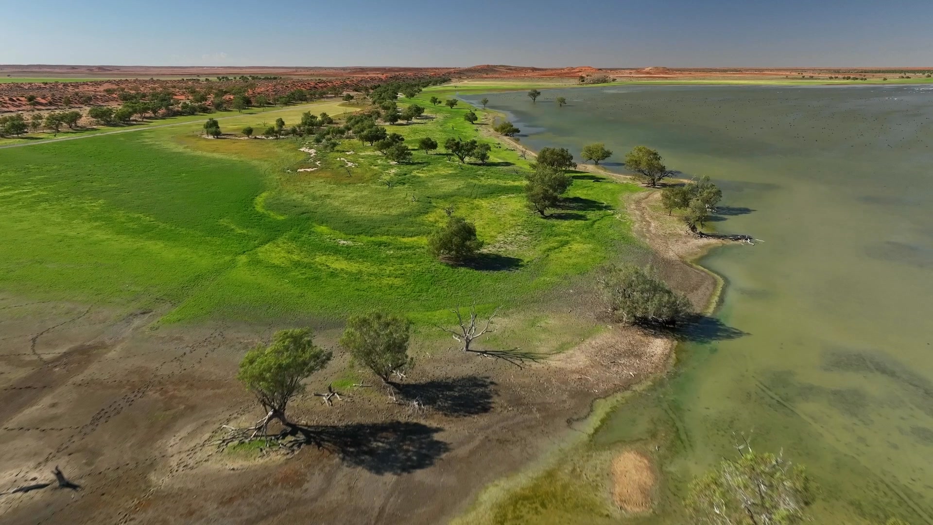Channel Country is a vast natural area that is the site of one of the ...