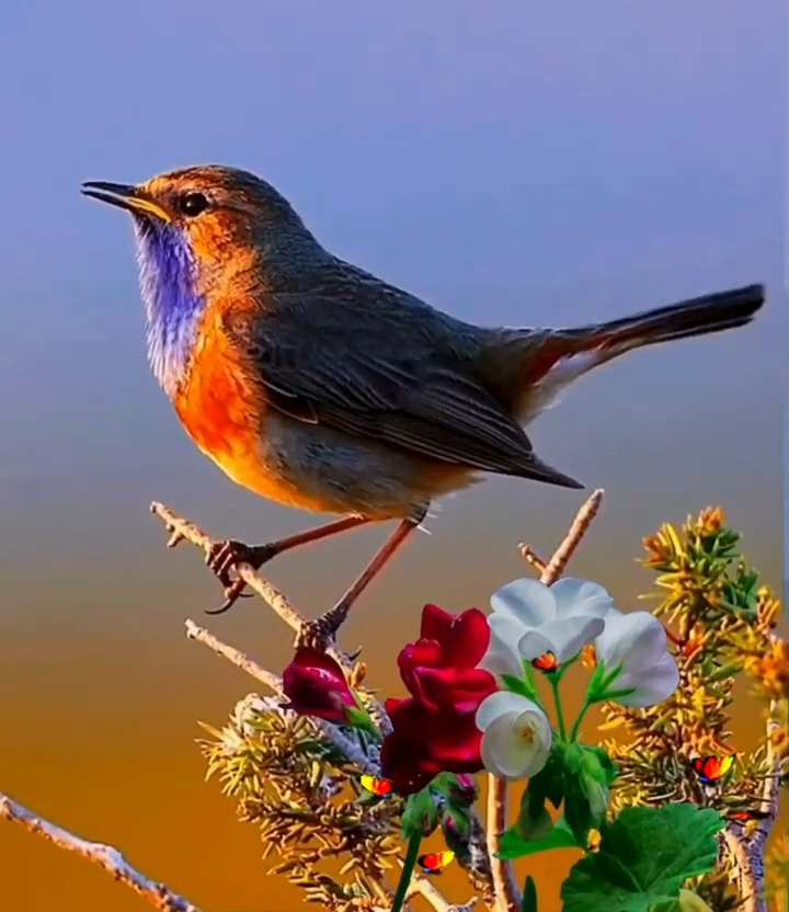 El sonido de la vida es tan agradable.😍 | Vida impresionante | Facebook