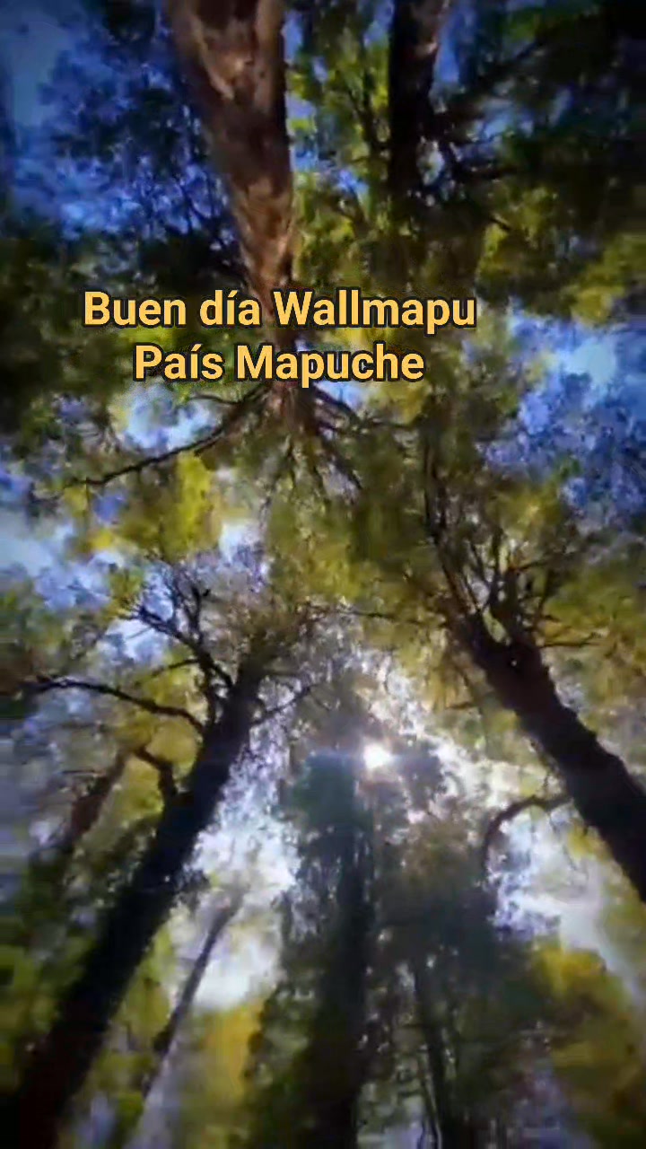 Buen día Wallmapu País Mapuche Basado en video original de nelson ...