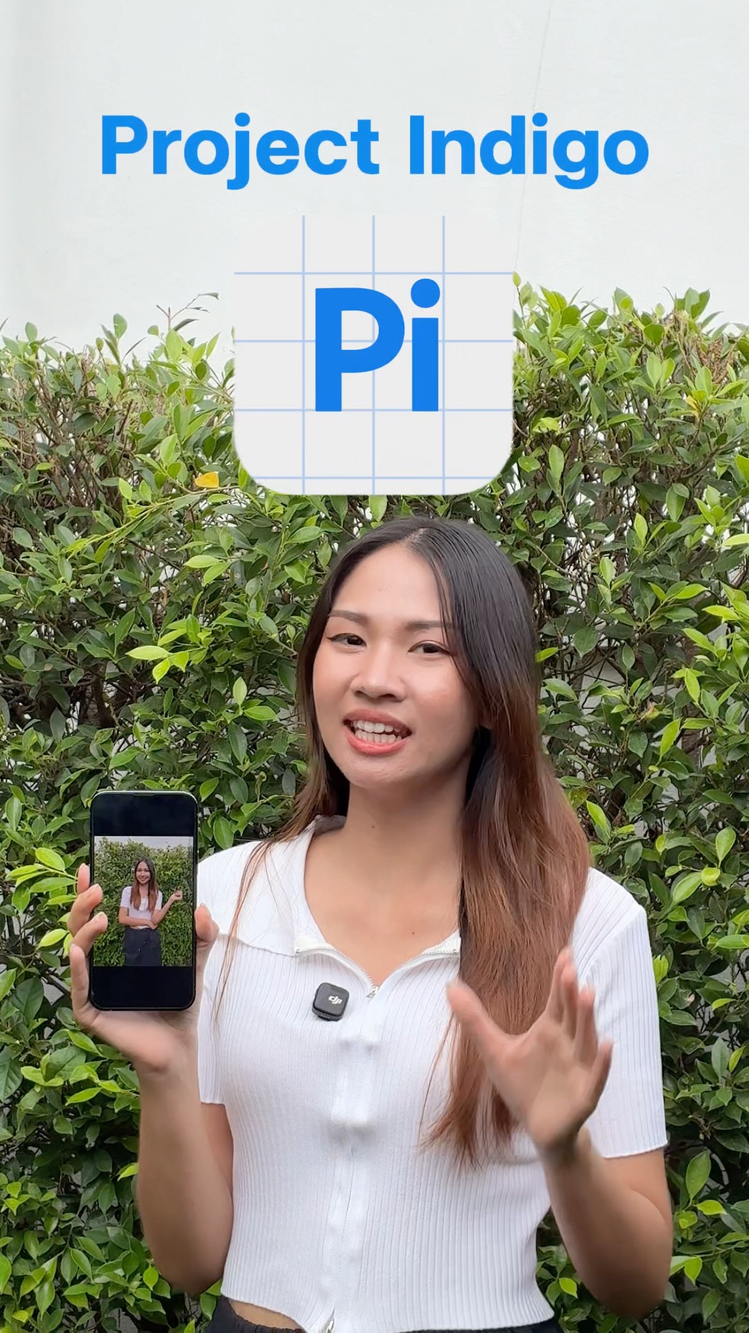 Project Indigo แอปใหม่! ใช้ iPhone รุ่นเก่าถ่าย ได้ภาพสวย คมชัด #iMoD # ...