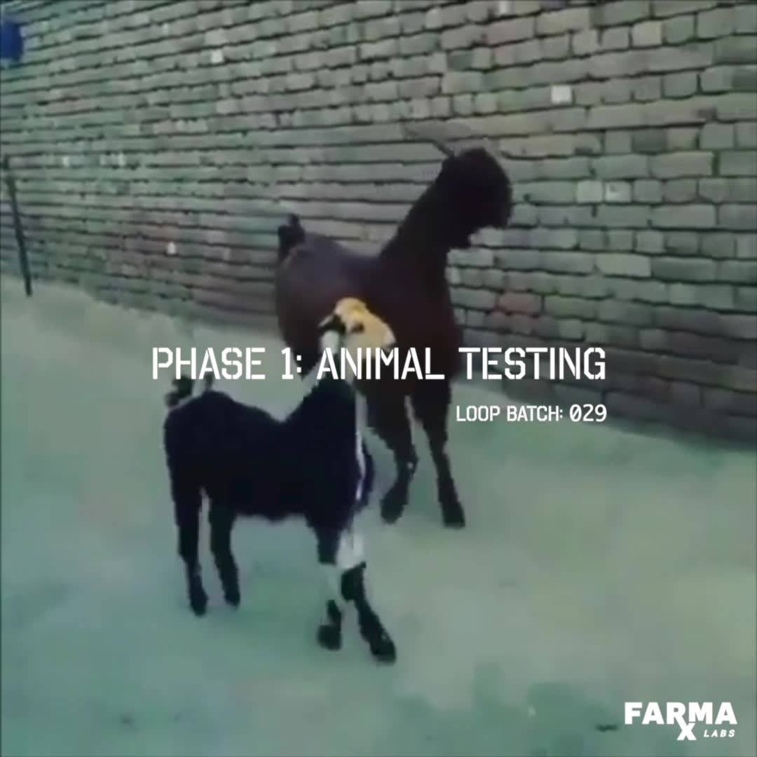 FARMA LABS