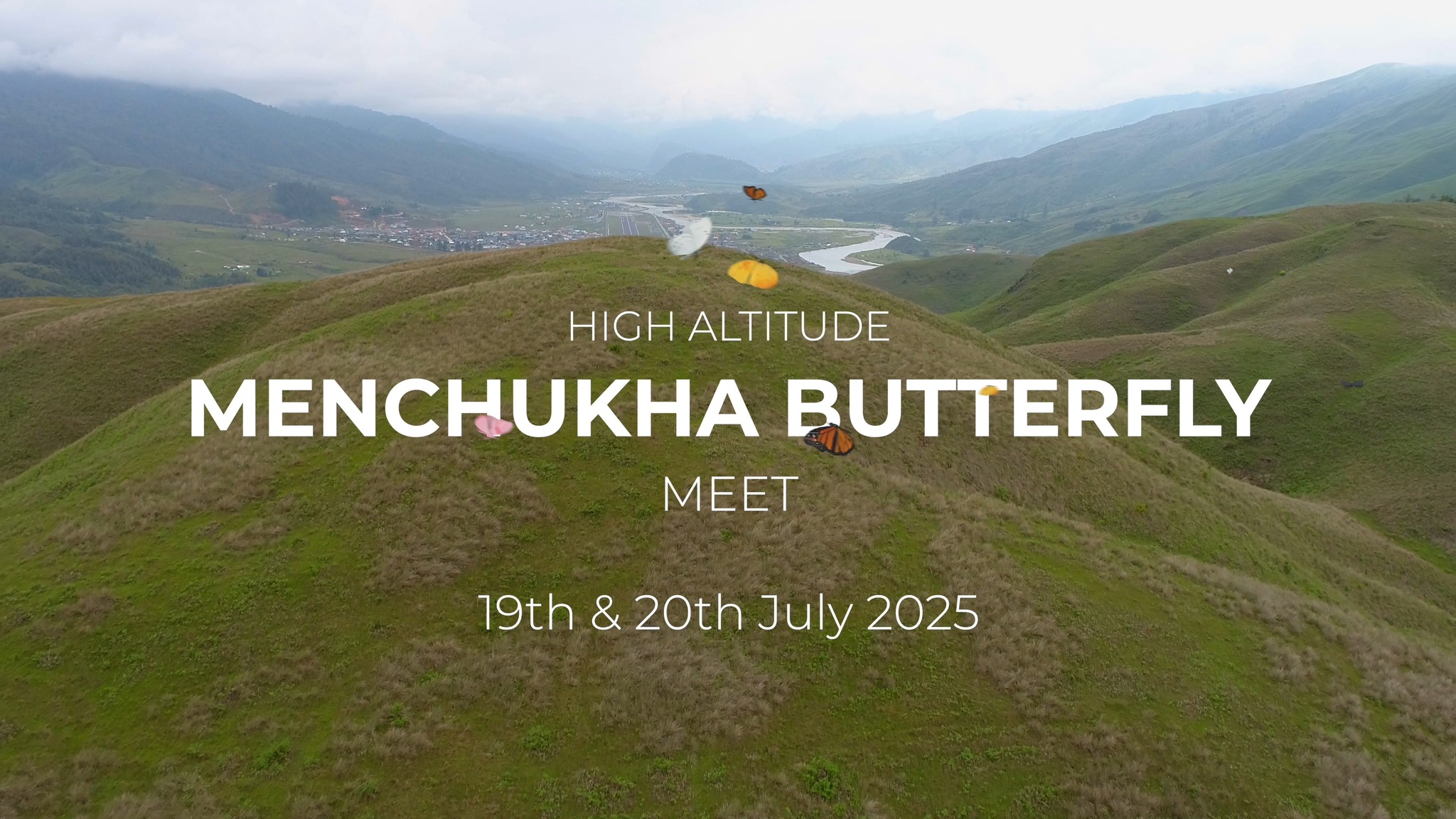 The High Altitude Mechukha Butterfly Meet is a special event in the ...