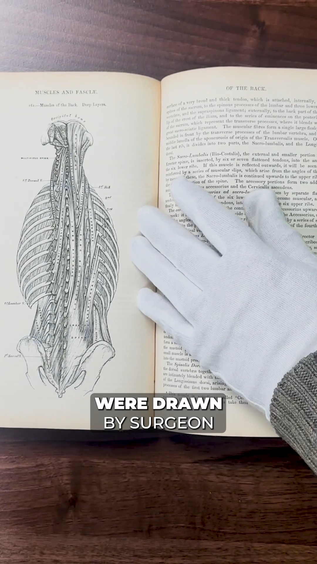 This Vintage Gray's Anatomy Book Is Fascinating! | AwesomeBooks