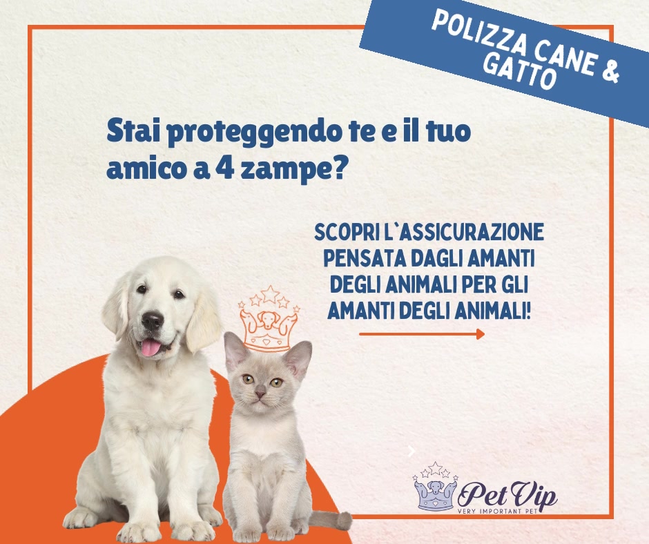 Pet Vip - Home