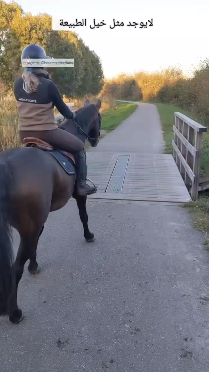 لا يوجد مثل خيل الطبيعة ... تابعونا على Horses world عالم الخيل العرض ...