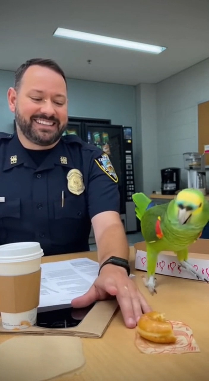 inflation effects Birds too🥹 #parrot #policeparrotseries #ParrotComedy ...