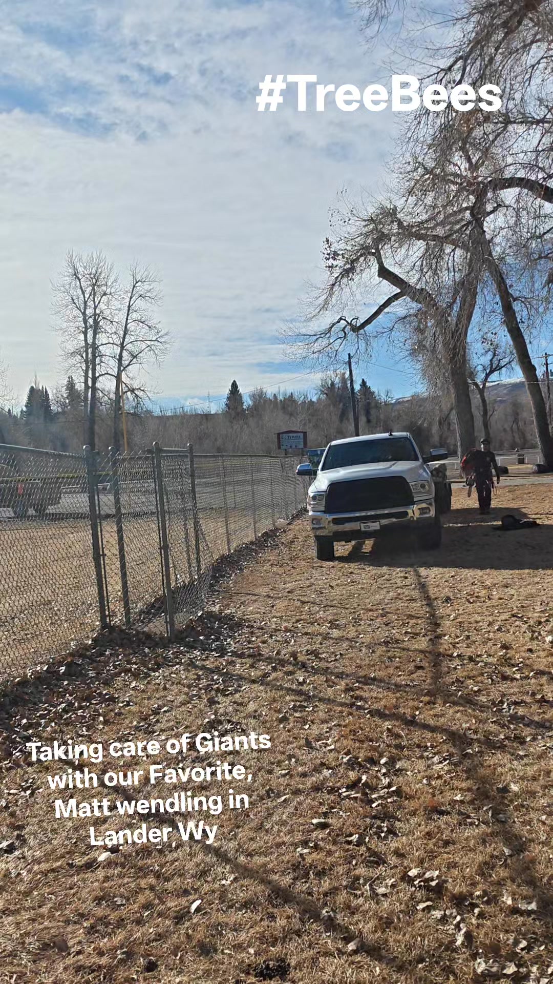 #Wyoming #climbhigher #arborist #treebees | Tree Bees Arboriculture LLC ...