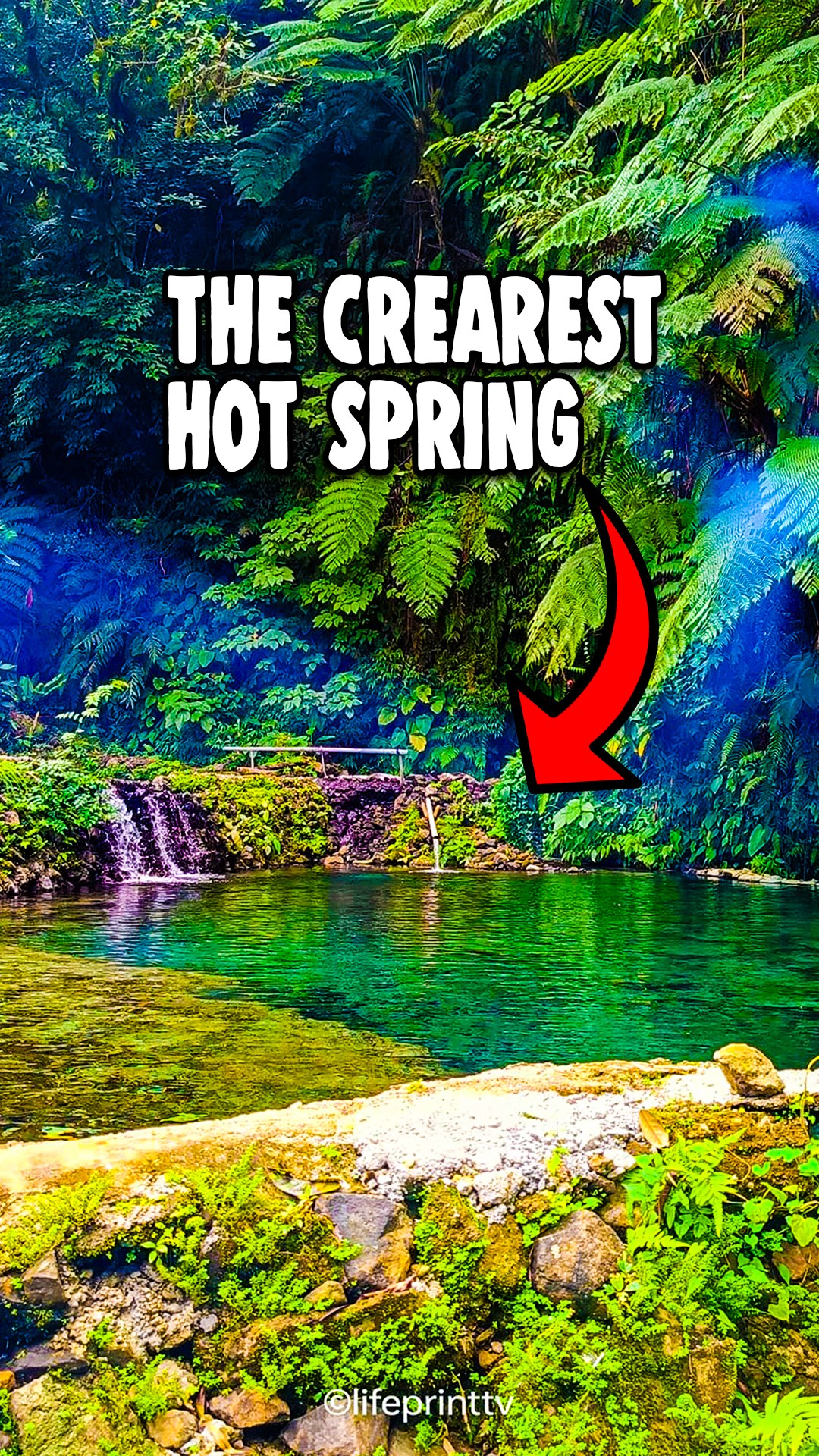 Heading back to The Crystal Clear Hot Spring in Jaro, Leyte! It's ...