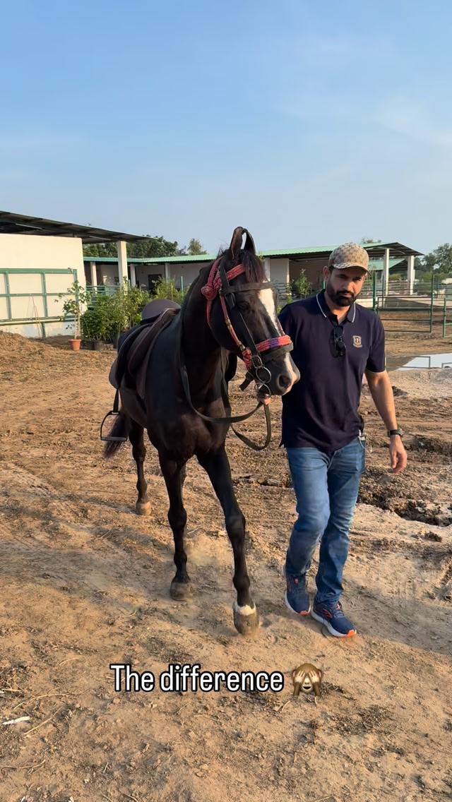 There are two kinds of riders. #horse #riders | Irfan Pathan | Facebook