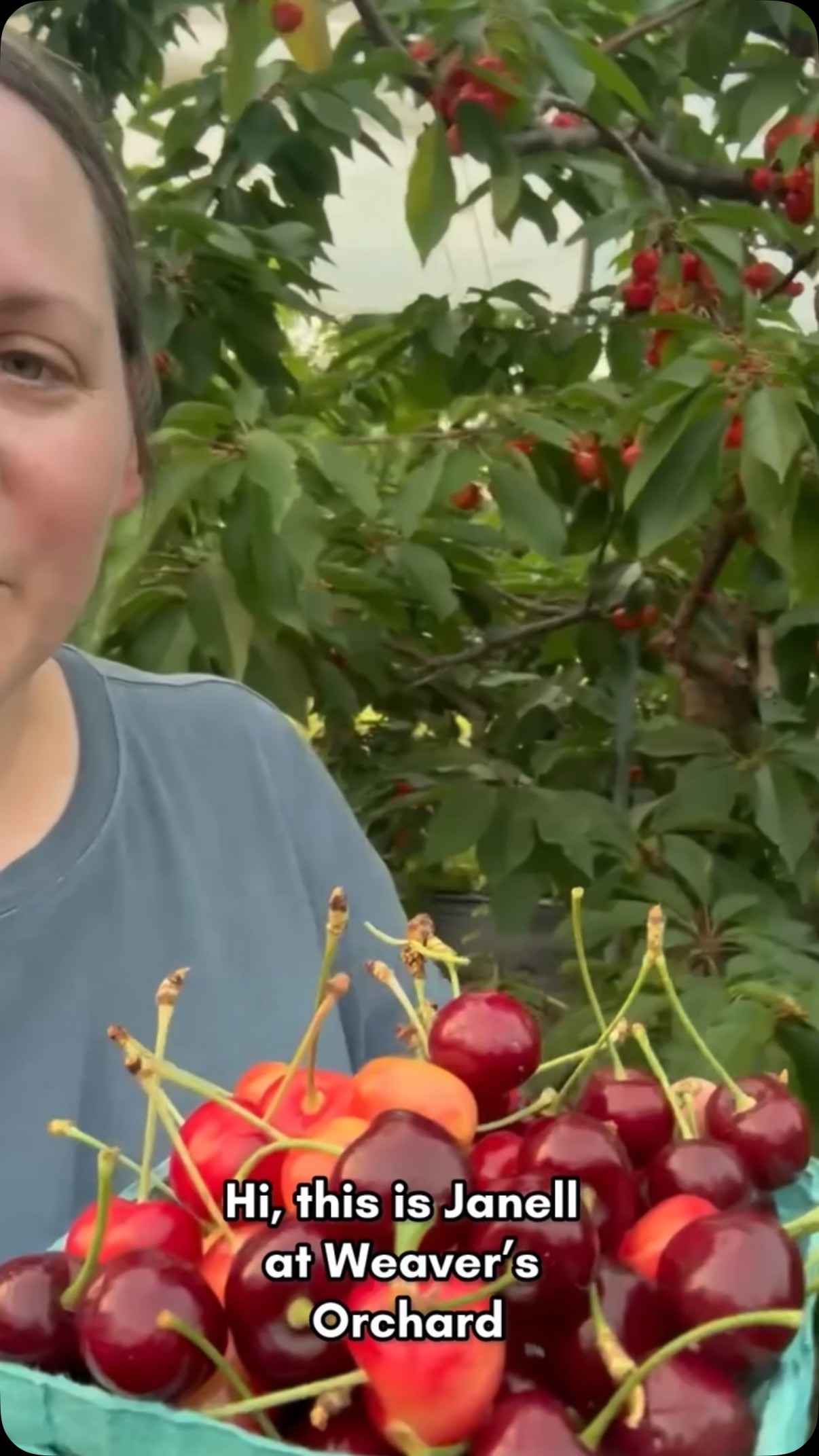 Heads up! With the expected heat wave, pick-your-own will close at 1 ...